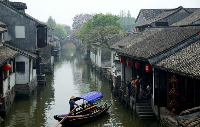 薇微说:质疑昆明动物园“猴猫共处”,并非网友挑刺儿